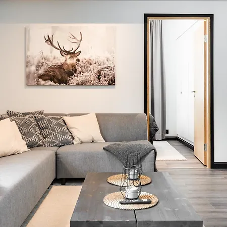 Apartment C13 By Aavalevi Holidays, Center Levi